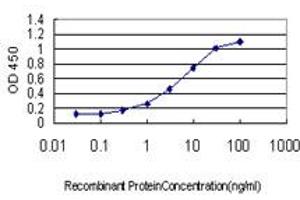 Detection limit for recombinant GST tagged ACOT11 is approximately 0.