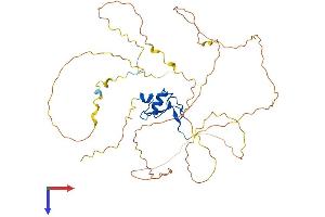 AlphaFold protein structure predicition of Mouse Recombinant Pygo1 Protein, UniprotID Q9D0P5