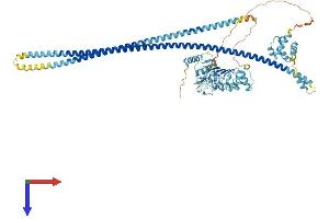 AlphaFold protein structure predicition of Mouse Recombinant Lrsam1 Protein, UniprotID Q80ZI6