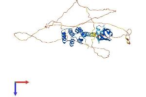 AlphaFold protein structure predicition of Mouse Recombinant Sp110 Protein, UniprotID Q8BVK9