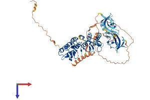 AlphaFold protein structure predicition of Mouse Recombinant Clip3 Protein, UniprotID B9EHT4