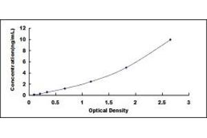 Typical standard curve (NFkB Kit ELISA)