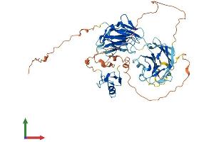 AlphaFold protein structure predicition of Mouse Recombinant Neurl1b Protein, UniprotID Q0MW30