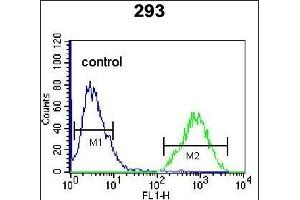TF Antibody (Center) (ABIN655908 and ABIN2845307) flow cytometric analysis of 293 cells (right histogram) compared to a negative control cell (left histogram). (TFAP4 anticorps  (AA 125-154))
