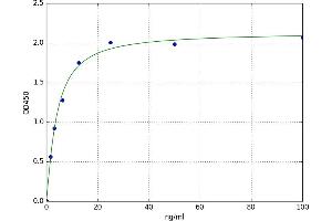 A typical standard curve (ABCC4 Kit ELISA)