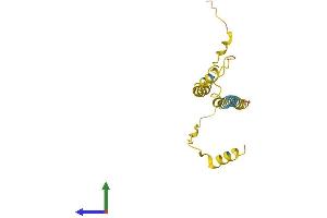 AlphaFold protein structure predicition of Human Recombinant C8orf44 Protein, UniprotID Q96CB5