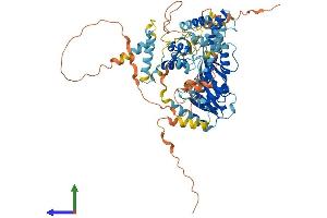 AlphaFold protein structure predicition of Human Recombinant POGK Protein, UniprotID Q9P215