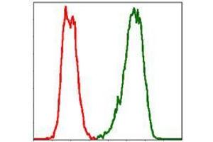 Flow cytometric analysis of Hela cells using PBK mouse mAb (green) and negative control (red).