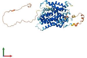 AlphaFold protein structure predicition of Human Recombinant SLC38A3 Protein, UniprotID Q99624