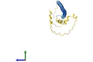 AlphaFold protein structure predicition of Human Recombinant JDP2 Protein, UniprotID Q8WYK2