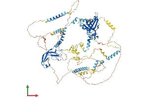 AlphaFold protein structure predicition of Mouse Recombinant Mcm10 Protein, UniprotID Q0VBD2