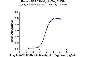 Immobilized Human CEACAM-1 at 0. (CEACAM1 Protein (His tag))