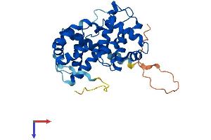 AlphaFold protein structure predicition of Human Recombinant CCND3 Protein, UniprotID P30281