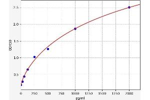 Bone Morphogenetic Protein 7 (BMP7) ELISA Kit