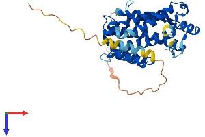 AlphaFold protein structure predicition of Human Recombinant GLTPD2 Protein, UniprotID A6NH11