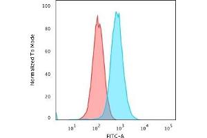 Flow Cytometric Analysis of K562 cells using RAD51 Mouse Monoclonal Antibody (RAD51/2702) followed by Goat anti-Mouse IgG-CF488 (Blue); Isotype Control (Red).