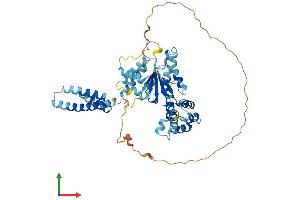 AlphaFold protein structure predicition of Human Recombinant KATNA1 Protein, UniprotID O75449