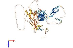 AlphaFold protein structure predicition of Mouse Recombinant Peg10 Protein, UniprotID Q7TN75