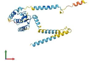 AlphaFold protein structure predicition of Human Recombinant RNF170 Protein, UniprotID Q96K19