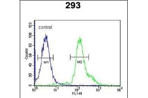 RSPO2 Antibody (C-term) (ABIN651457 and ABIN2840250) flow cytometric analysis of 293 cells (right histogram) compared to a negative control cell (left histogram). (RSPO2 anticorps  (C-Term))