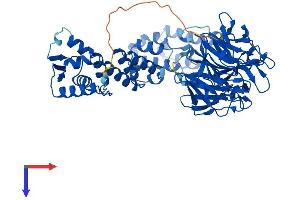 AlphaFold protein structure predicition of Human Recombinant KLHL2 Protein, UniprotID O95198