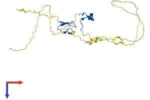 AlphaFold protein structure predicition of Human Recombinant RYBP Protein, UniprotID Q8N488