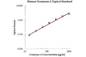 Granzyme A (Granzyme 1, Cytotoxic T-Lymphocyte-Associated serine Esterase 3) (GZMA) ELISA Kit