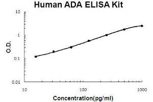 Human ADA PicoKine ELISA Kit standard curve (ADA Kit ELISA)