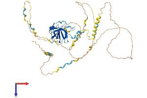 AlphaFold protein structure predicition of Mouse Recombinant Naf1 Protein, UniprotID Q3UMQ8