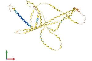 AlphaFold protein structure predicition of Mouse Recombinant Col23a1 Protein, UniprotID Q8K4G2