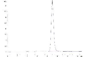 The purity of Mouse Fc gamma RI/CD64 is greater than 95 % as determined by SEC-HPLC. (FCGR1 Protein (AA 25-297) (His tag))