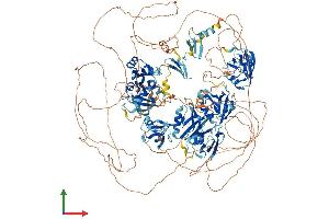 AlphaFold protein structure predicition of Mouse Recombinant Magi3 Protein, UniprotID Q9EQJ9