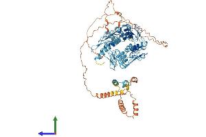 AlphaFold protein structure predicition of Human Recombinant ZNF227 Protein, UniprotID Q86WZ6