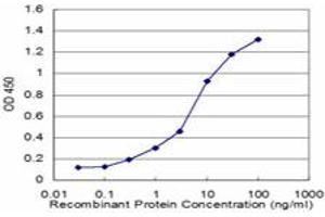 Detection limit for recombinant GST tagged SFPQ is approximately 0. (SFPQ anticorps  (AA 269-361))