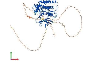 AlphaFold protein structure predicition of Mouse Recombinant Csnk1g1 Protein, UniprotID Q8BTH8