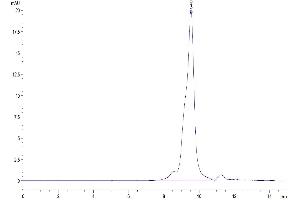 The purity of Human IL-17RB is greater than 95 % as determined by SEC-HPLC.