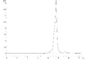 The purity of Human IL-17RB is greater than 95 % as determined by SEC-HPLC.
