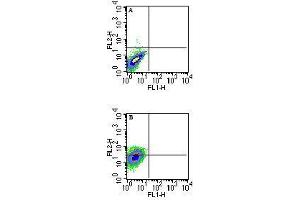 Image no. 3 for anti-Histocompatibility 2, T Region Locus 23 (H2-T23) antibody (ABIN959931)
