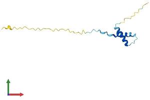 AlphaFold protein structure predicition of Human Recombinant HERV-K104 Protein, UniprotID P61576 (HERV-K104 (AA 1-105) protein (His tag))