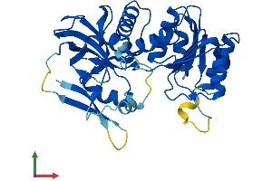 AlphaFold protein structure predicition of Mouse Recombinant Cryzl1 Protein, UniprotID Q921W4