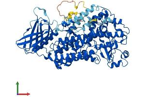 AlphaFold protein structure predicition of Human Recombinant ALOXE3 Protein, UniprotID Q9BYJ1