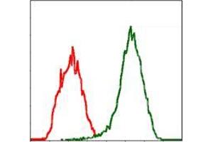 Flow cytometric analysis of Jurkat cells using MSN mouse mAb (green) and negative control (red).