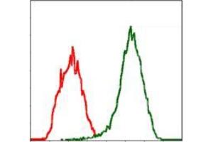 Flow cytometric analysis of Jurkat cells using MSN mouse mAb (green) and negative control (red). (Moesin anticorps)