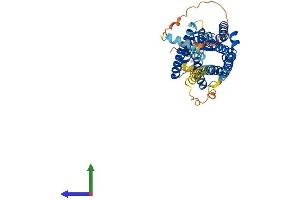 AlphaFold protein structure predicition of Mouse Recombinant Ntsr2 Protein, UniprotID P70310
