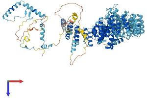 AlphaFold protein structure predicition of Human Recombinant PRPF6 Protein, UniprotID O94906