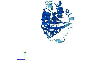 AlphaFold protein structure predicition of Mouse Recombinant Arfrp1 Protein, UniprotID Q8BXL7