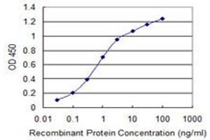 Detection limit for recombinant GST tagged WNK4 is 0.