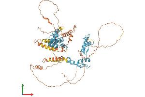 AlphaFold protein structure predicition of Human Recombinant ZBTB7A Protein, UniprotID O95365