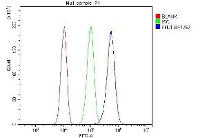 Flow Cytometry analysis of PC-3 cells using anti-FHL antibody (ABIN7600488). (FHL1 anticorps  (AA 2-323))