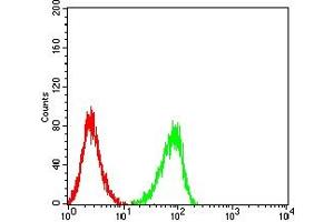 Flow cytometric analysis of HL-60 cells using CD72 mouse mAb (green) and negative control (red).